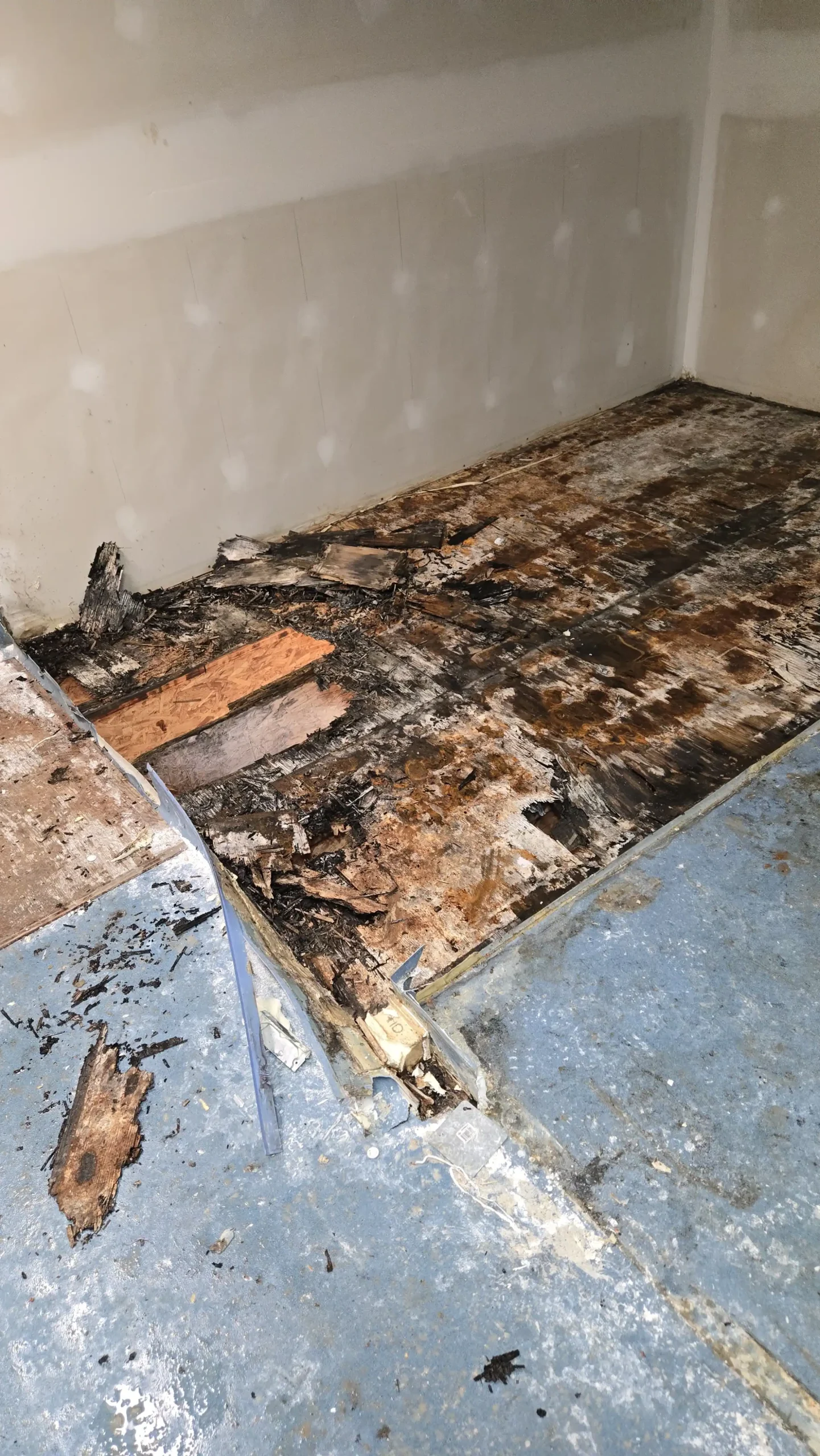 structural-floor-repair-001